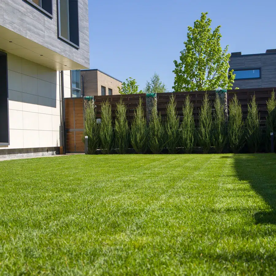 Aménagement de jardin moderne | Les Toitures De Louis Jardin moderne avec pelouse verte et arbustes